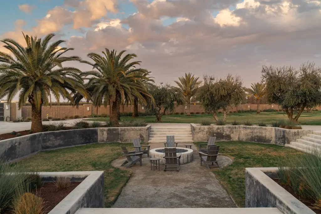 Palm trees surrounding a fire pit.