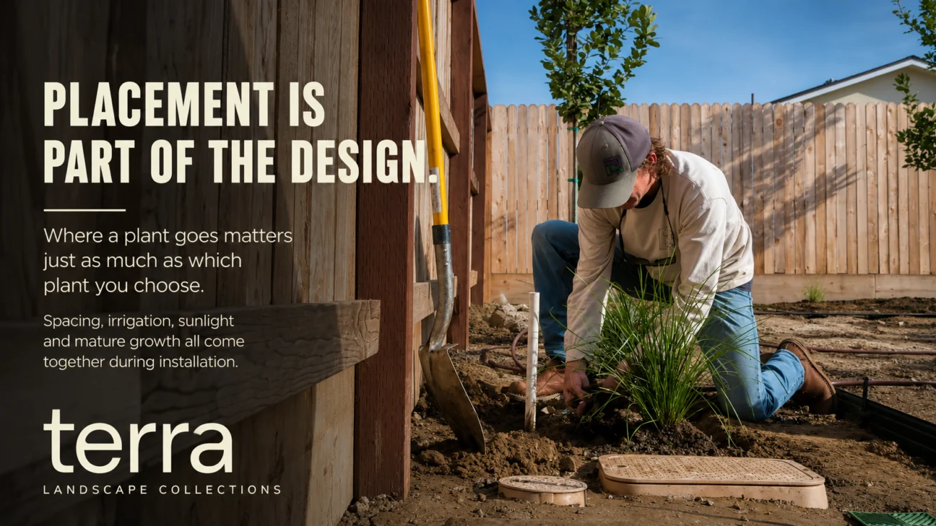 Person planting a shrub in a garden