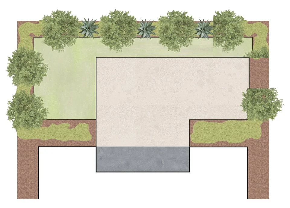 The Agave plan view